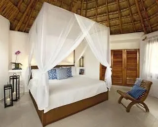 Las Palapas Hotel